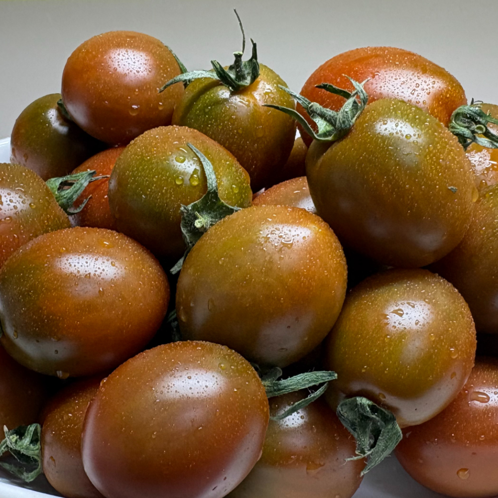 국내산 달콤 짭짤 흑대추 방울토마토, 1박스, 1kg 14,900원