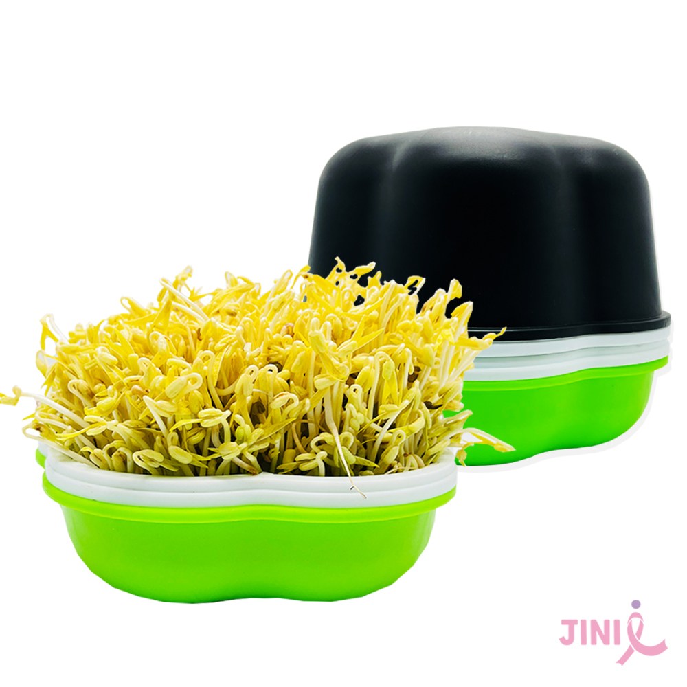 지니아이 요술램프 키트 콩나물 새싹 무순 보리 귀리 관찰일지 재배기 식물키트 관찰학습 7,500원