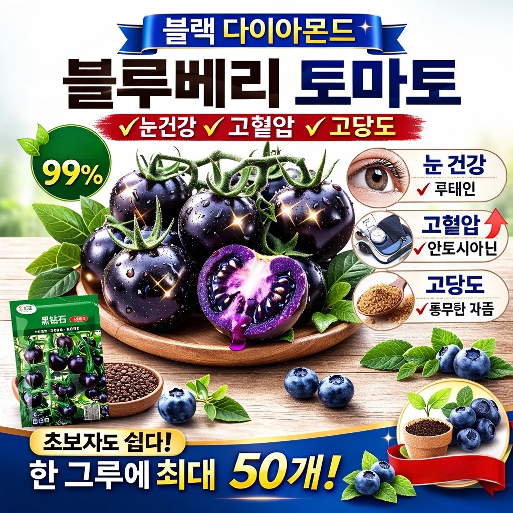 블랙 다이아몬드 토마토 씨앗 토마토 씨앗 토마토 씨앗, 50립*6 18,800원