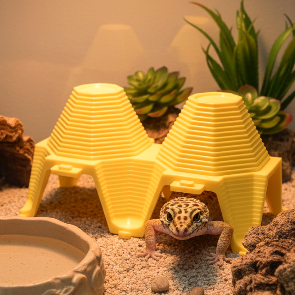 팔팔집 도마뱀 은신처, 현재가 4,900원