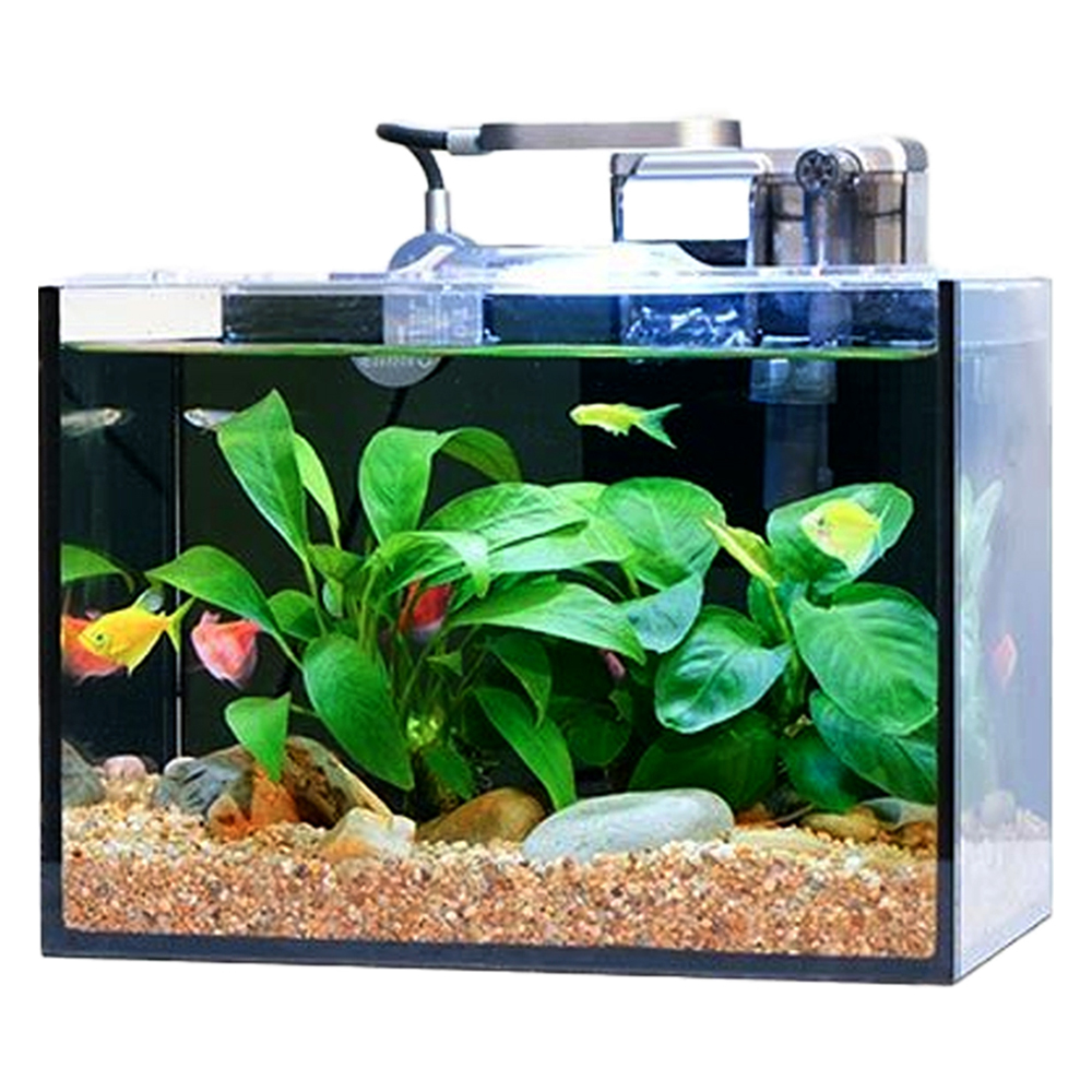 아쿠아렉스 COB LED 조명 여과기 일체형 올디아망 어항 세트 E형 66,900원