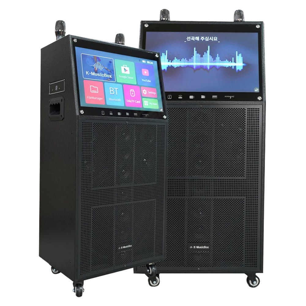 서영엔터테인먼트 AV-3000 이동식 노래방기기 가정용노래방 무선마이크 2개 노 855,000원