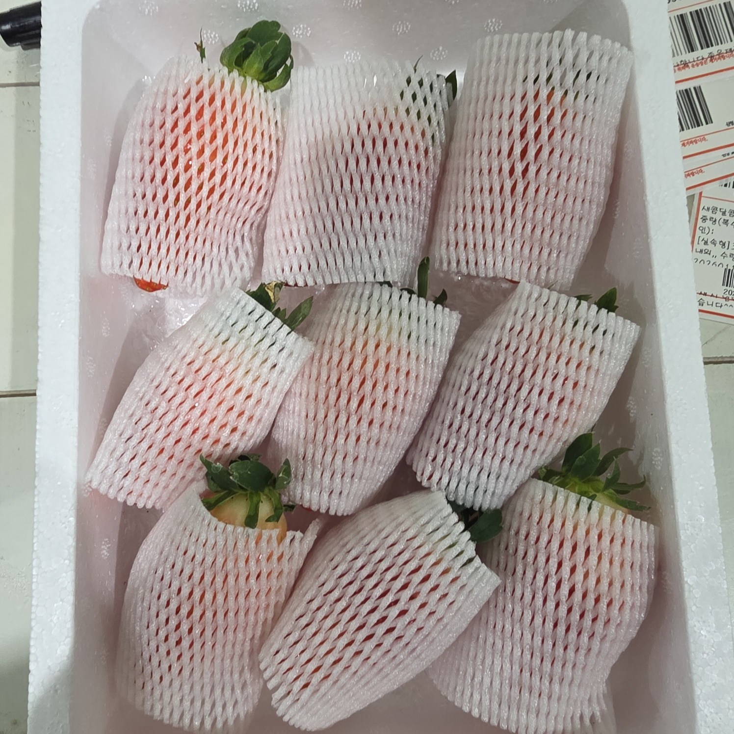 [새벽수확 아침발송] 딸기 논산 설향 생딸기 산지직송 고당도 800g내외, 1세트, [VVIP]킹스베리500g내외(한알당55g이상) 21,900원