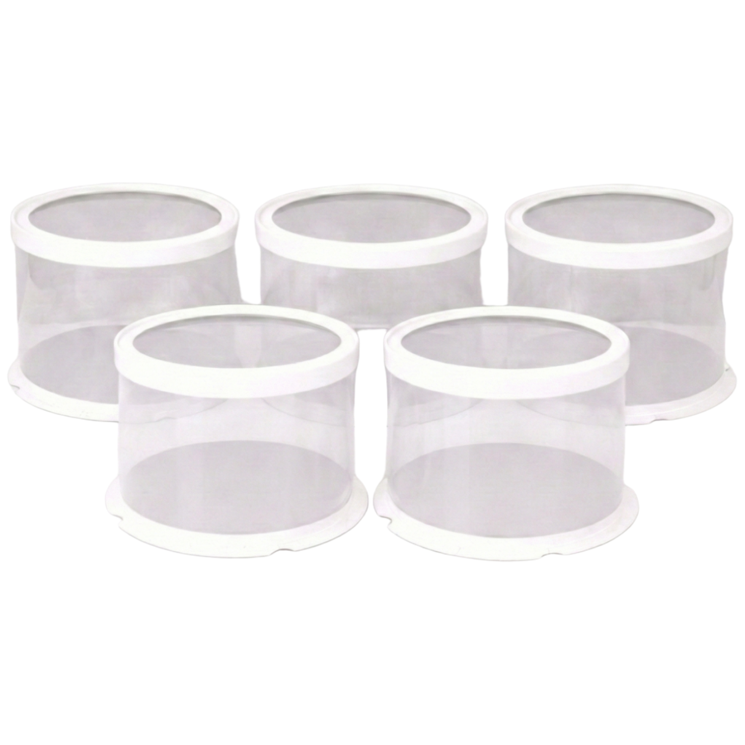 원형 케이크 포장 박스 & 리본끈, 5개, 2호 투명 화이트 14,900원