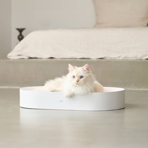 DUIT 올데이보드 고양이 평판형 스크래쳐 28,900원