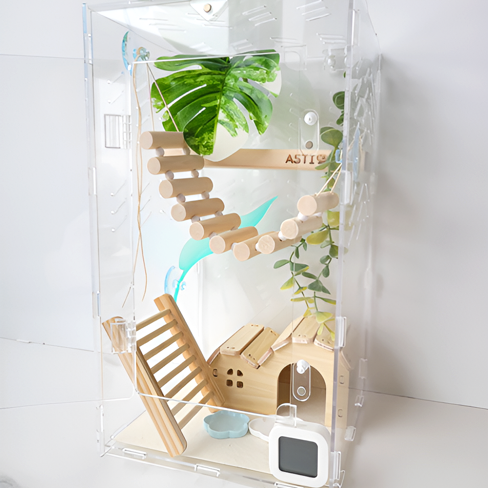 아스티렙 크레스티드 게코 아크릴 사육장 세트 20x20x35cm 67,000원