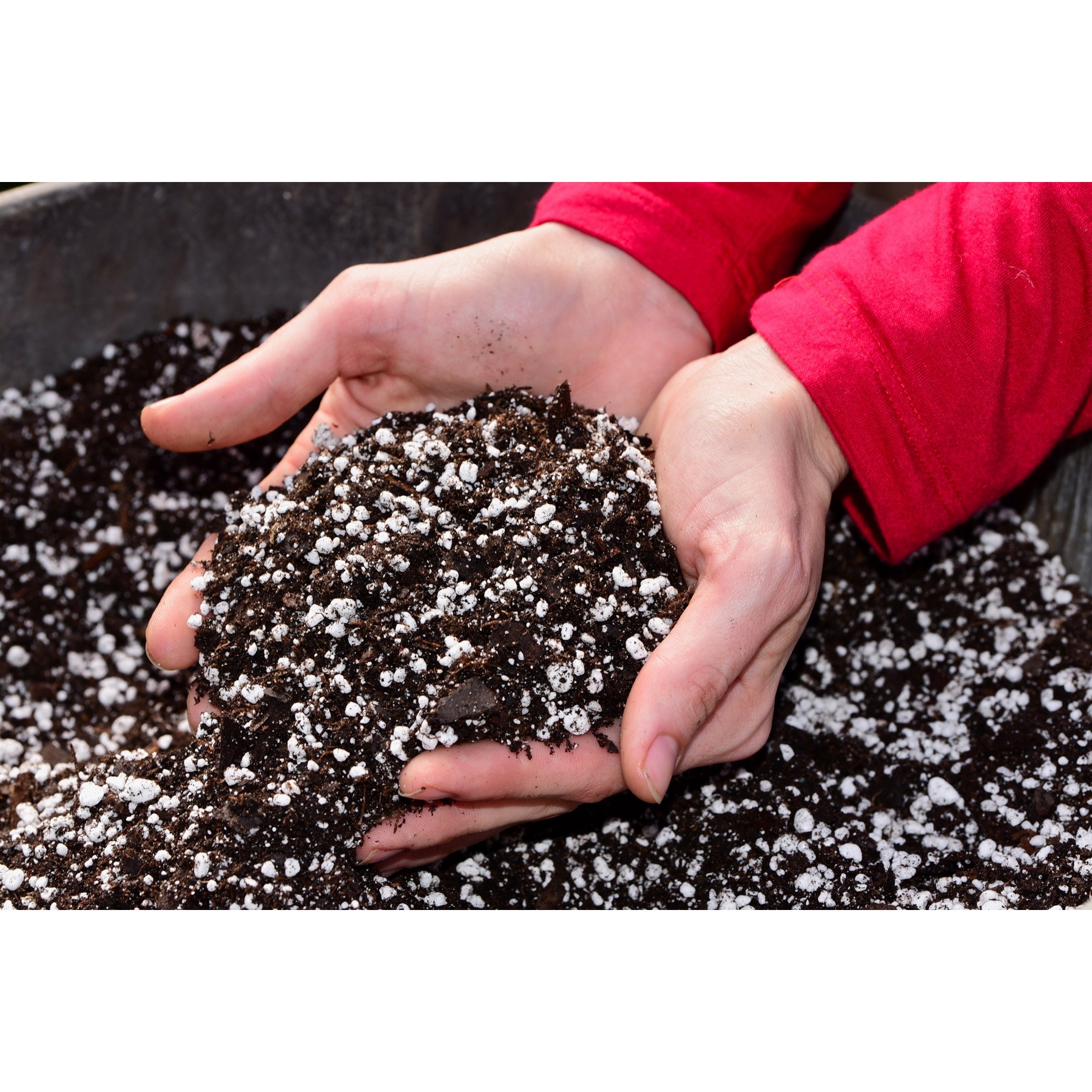 보타닉풀 조직배양묘 순화 배합토 분갈이흙 상토 무비상토 3,000원