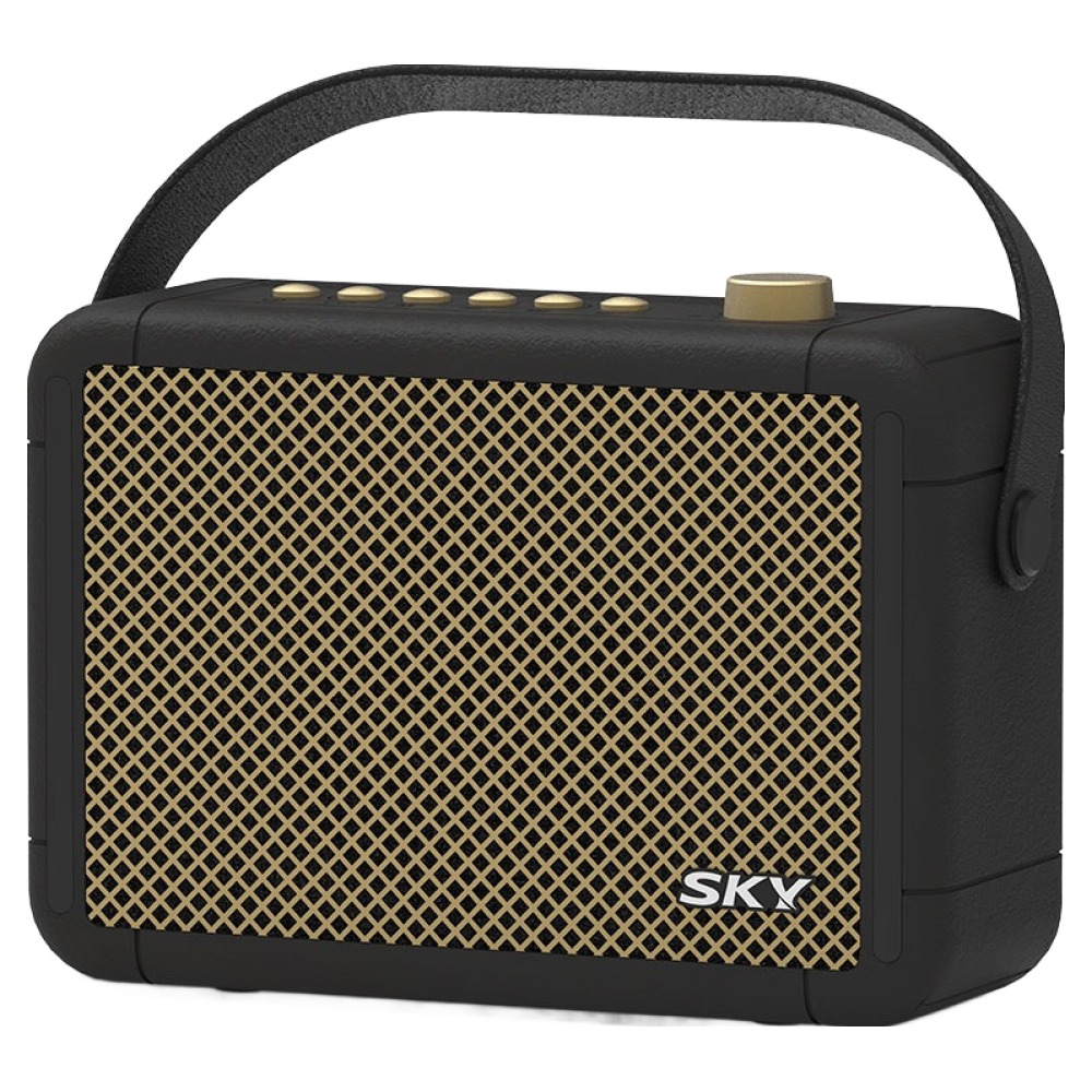 SKY 휴대용 붐 A3 블루투스 6.0 스피커 10W, IM-A3, 블랙 32,490원