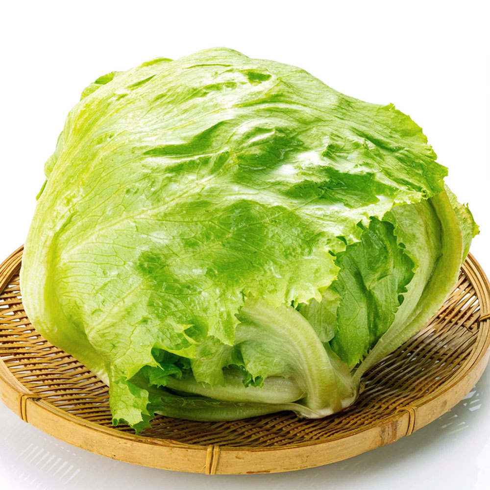 팜이슈 아삭아삭 신선한 국내산 양상추 8,900원