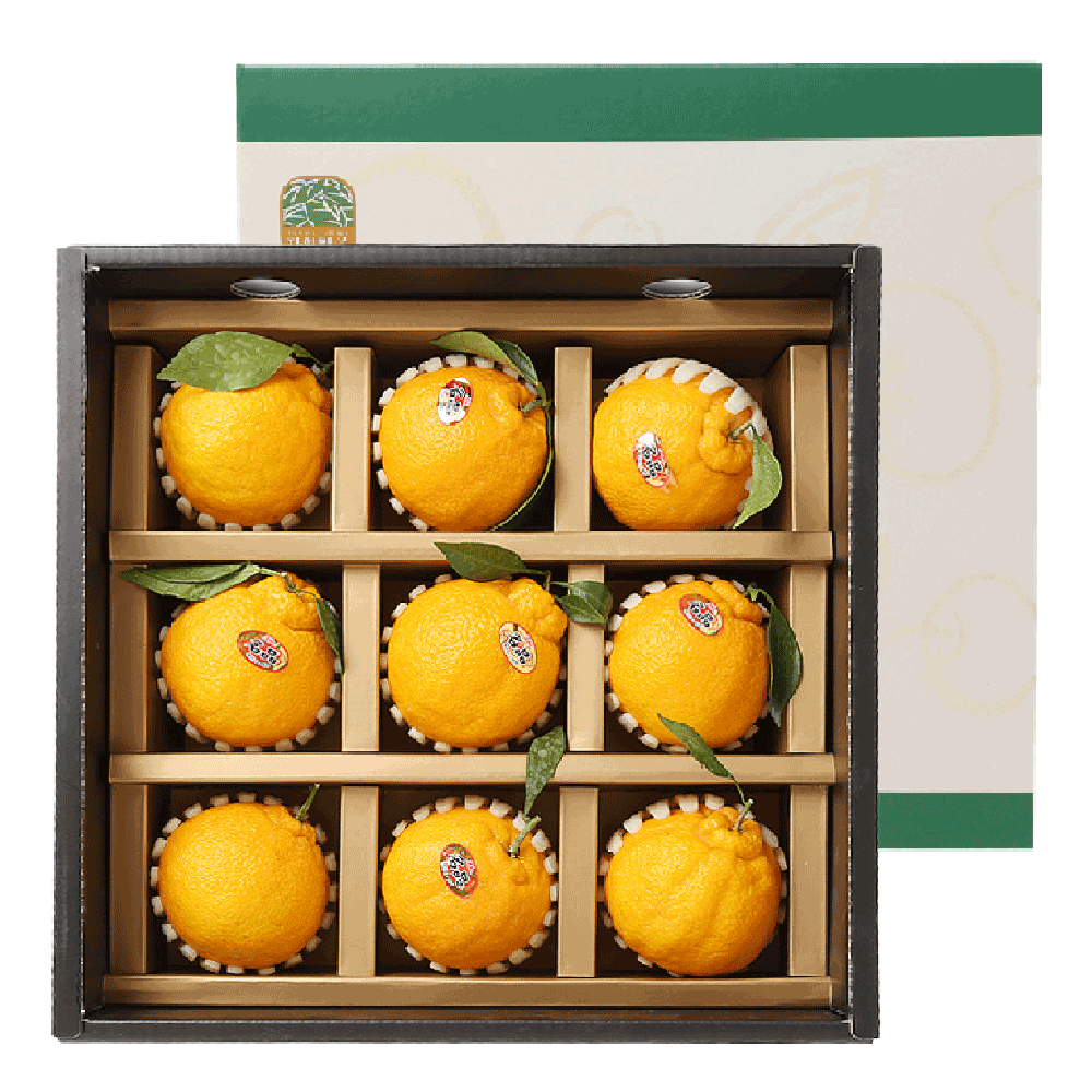 자연마을 국내산 프리미엄 한라봉 선물세트 69,000원