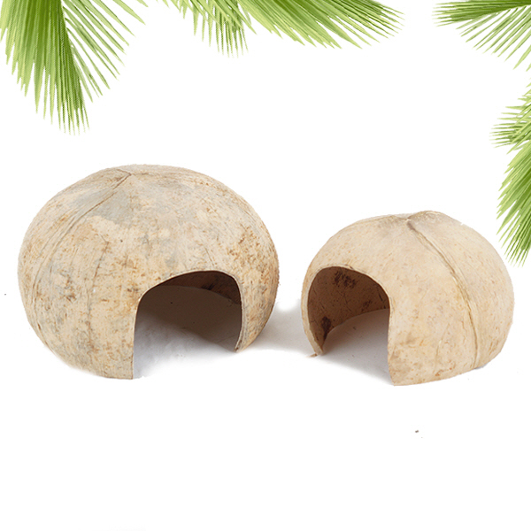 미미네아쿠아 코코넛 은신처 - (가재 파충류 소동물) 2,830원