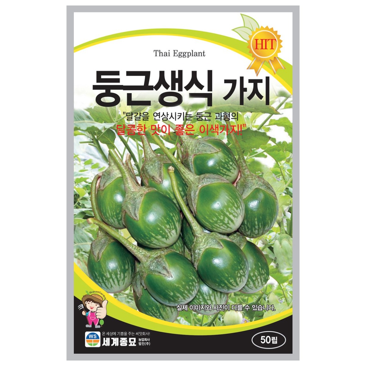세계종묘 둥근생식가지 씨앗 50립 4,900원