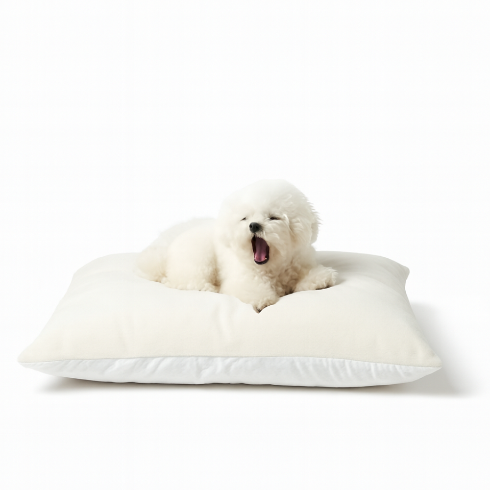 강아지 방석 고양이 반려동물 극세사 쿠션 쇼파 커버분리 통세탁 솜포함, 1개, 그레이 26,800원