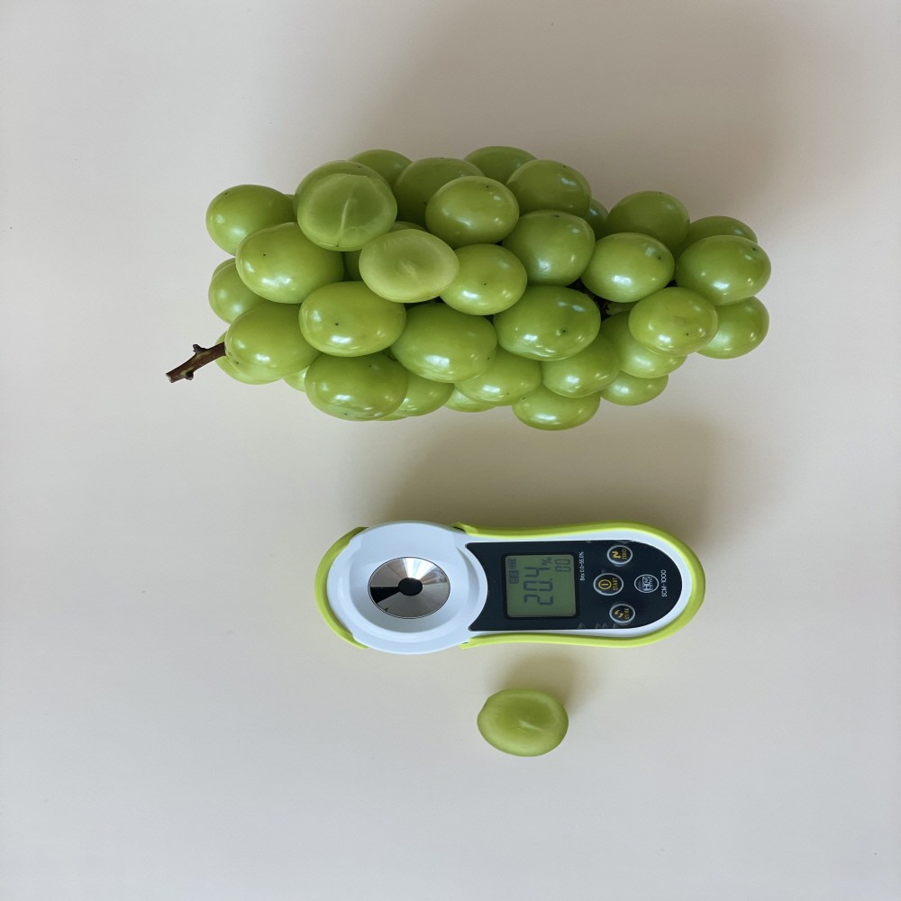 살롱푸드 산지직송 아삭 고당도 샤인머스켓 백화점 특품, 1개, 2kg 40,500원