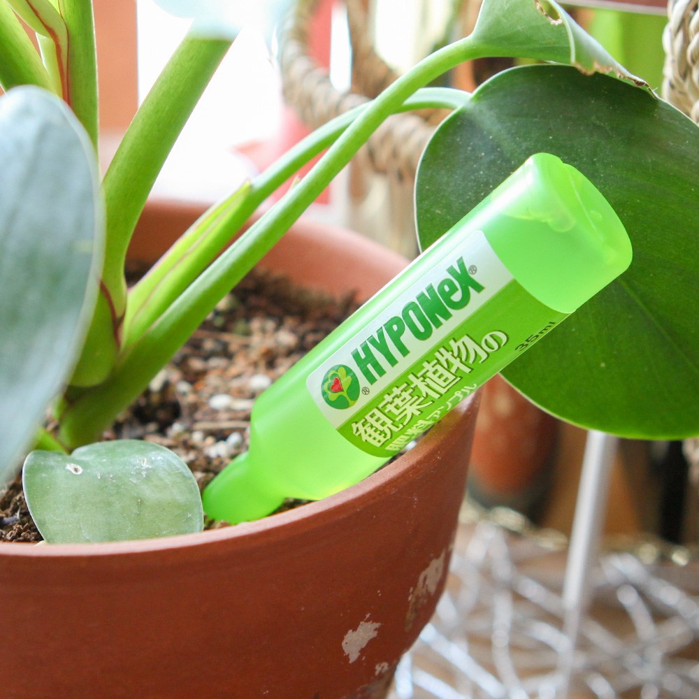 세경팜 하이포넥스 앰플 모든식물영양제 10개입 16,000원