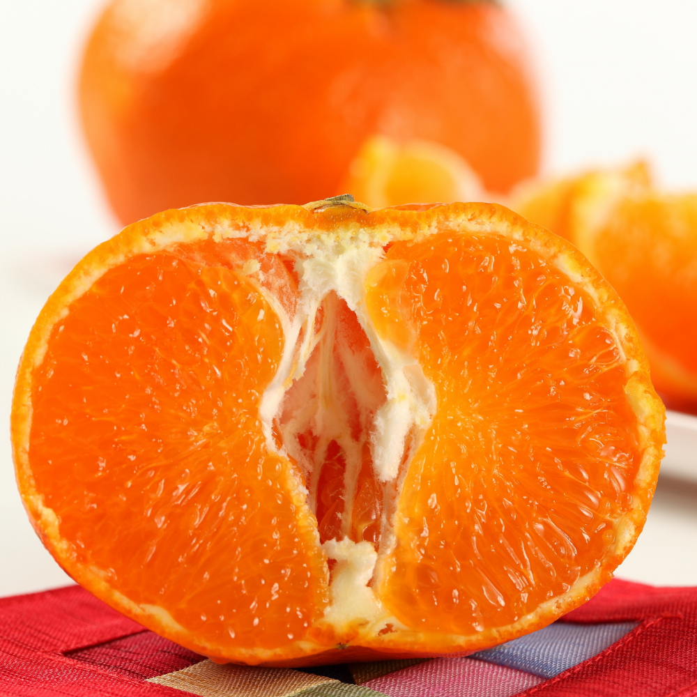 정품 특품 프리미엄 제주 레드향, 1박스, 10kg (중과) 89,000원