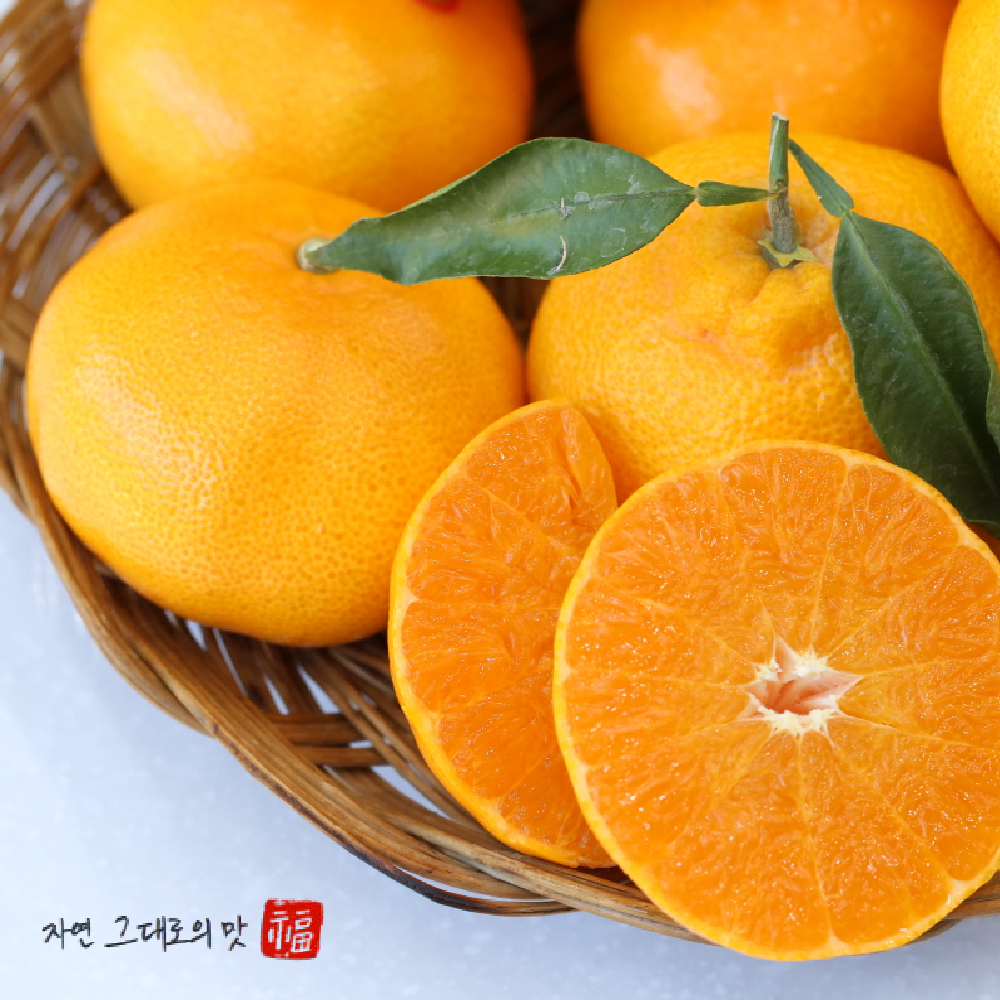 자연e랑 신선 황금향 제주도 산지직송 자연재배 선물세트 가방포함 47,000원