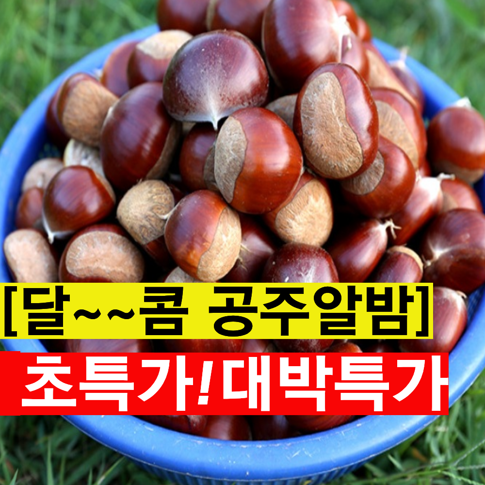 자이언트농산  국내산 공주밤 정안밤 약단밤 군밤용밤 9,500원