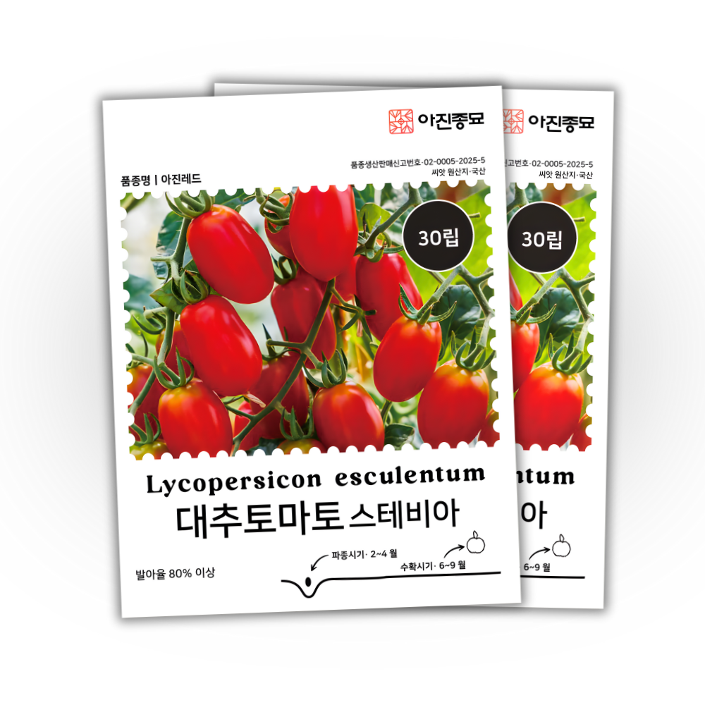 [주주씨앗] 대추토마토 씨앗 30립 / 고당도 스테비아 대추방울토마토 종자 6,900원