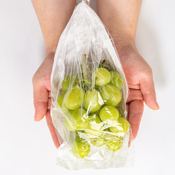 사과식감 고당도 노지 샤인머스켓 2kg 14,610원