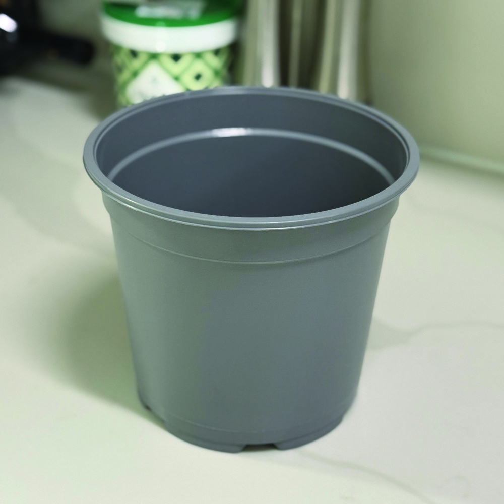 독일 테쿠MCH19(그레이) 플분 180개 모종 묘목 플라스틱화분 분갈이흙, 180개, 그레이 200,000원