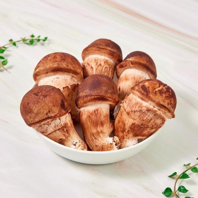 (농가직송) 해풍맞은 특등급 GAP인증 생참송이 버섯 500g (한정수량) 52,710원