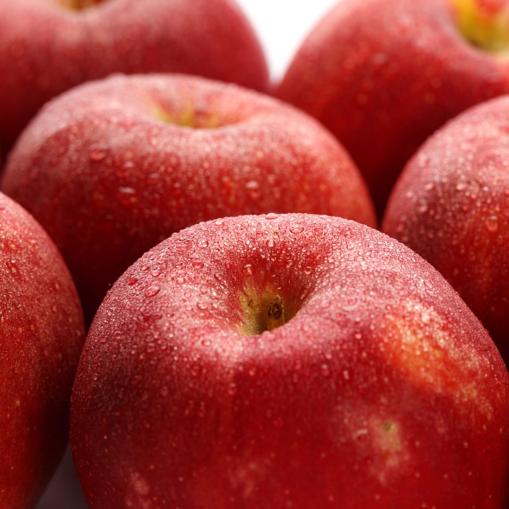 [프리미엄] 한입가득 당도선별 꿀사과 청송사과, 1박스, 10kg 56,400원