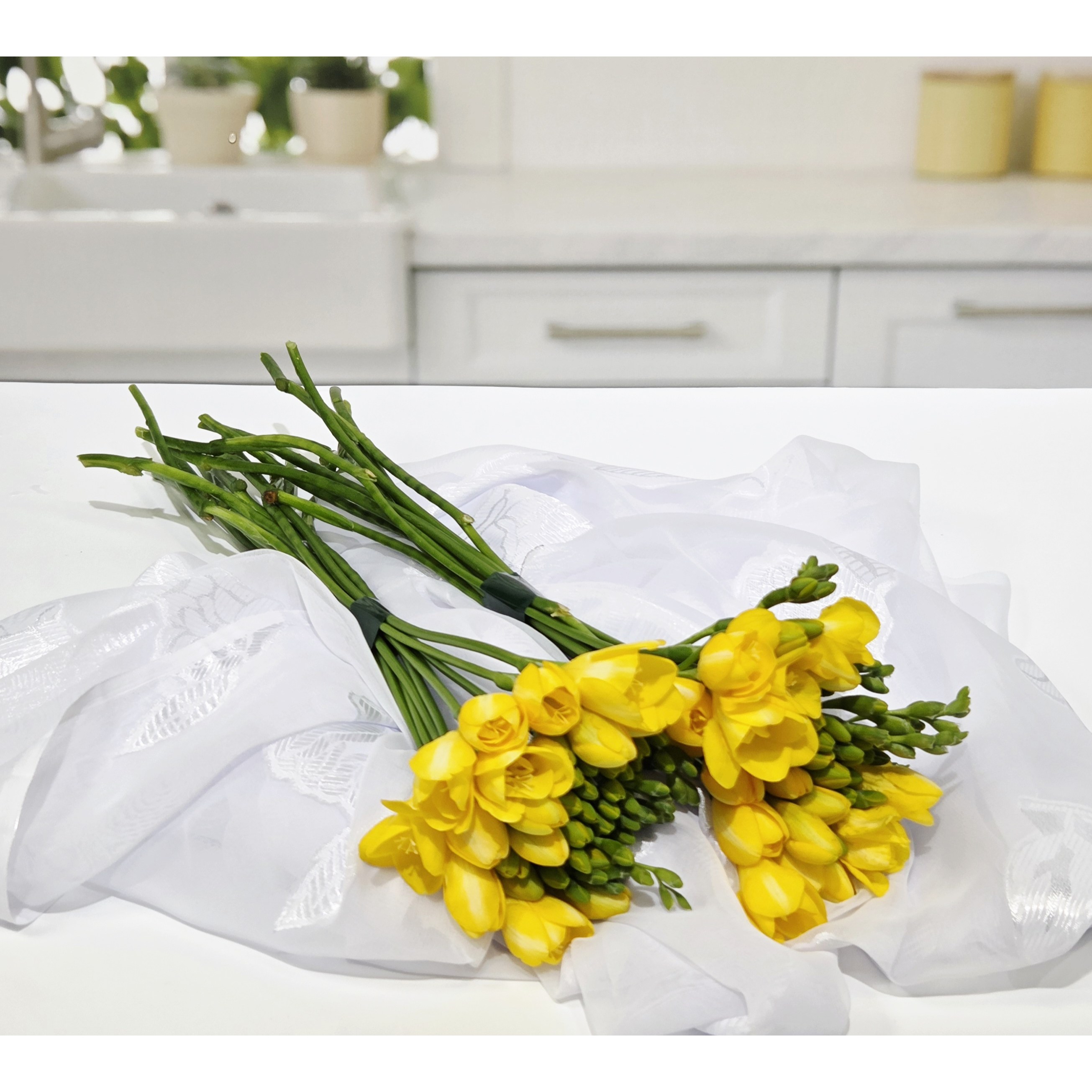 더플라워24 프리지아 후리지아 생화 꽃다발 택배 프리지아 10줄기, 20줄기 1개, 1개, 프리지아10줄기 9,900원