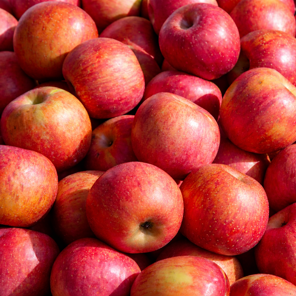 꿀탱이농원 못난이 사과 초특가 부사 흠과, 1개, 5kg (랜덤과) 32,100원