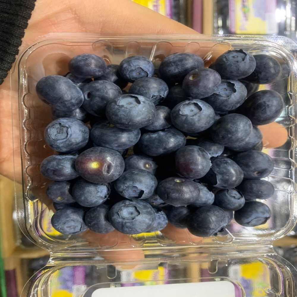 아침식사대용 냉장보관 칠레산 생 블루베리 2팩 슈퍼푸드 항산화 신선한 생과일 유기농간식 불루베리청 17,100원