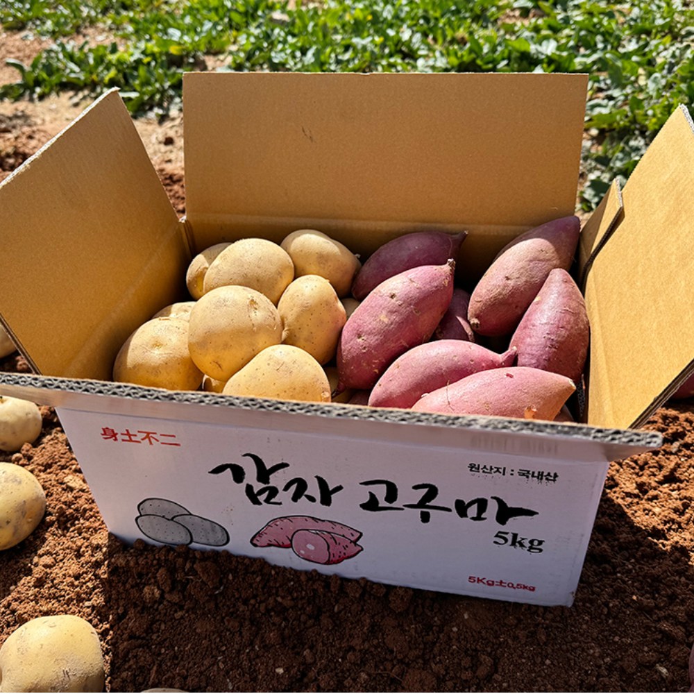 채소다움 국내산 감자+고구마 세트 캠핑필수 14,500원