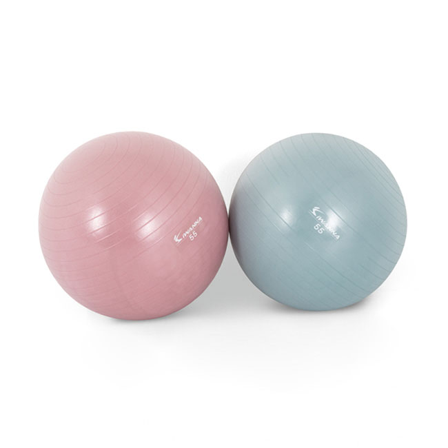 아이워너 안티버스트 짐볼 55cm +펌프 홈트레이닝 필라테스 수업 11,900원