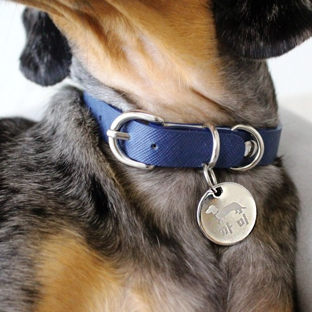 아미펫 자체제작 사피아노 가죽  강아지 고양이 목줄 이름표 무료각인 13,900원