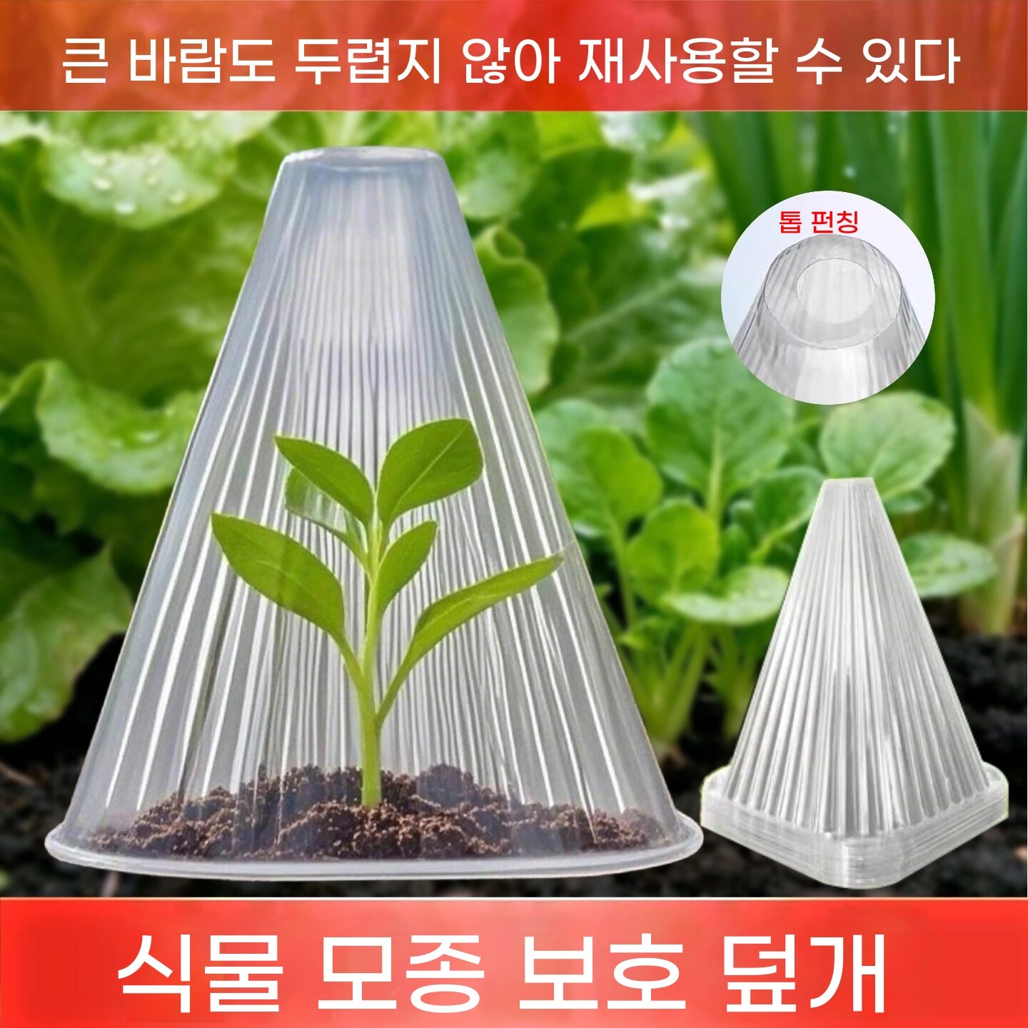 식물 모종 보호 덮개 투명 보온커버 새싹 방풍 방한 재사용 텃밭용 새싹 보호커버 새싹보리 키우기 키트 새싹채소 키우기 새싹 키우는, 50개 19,800원
