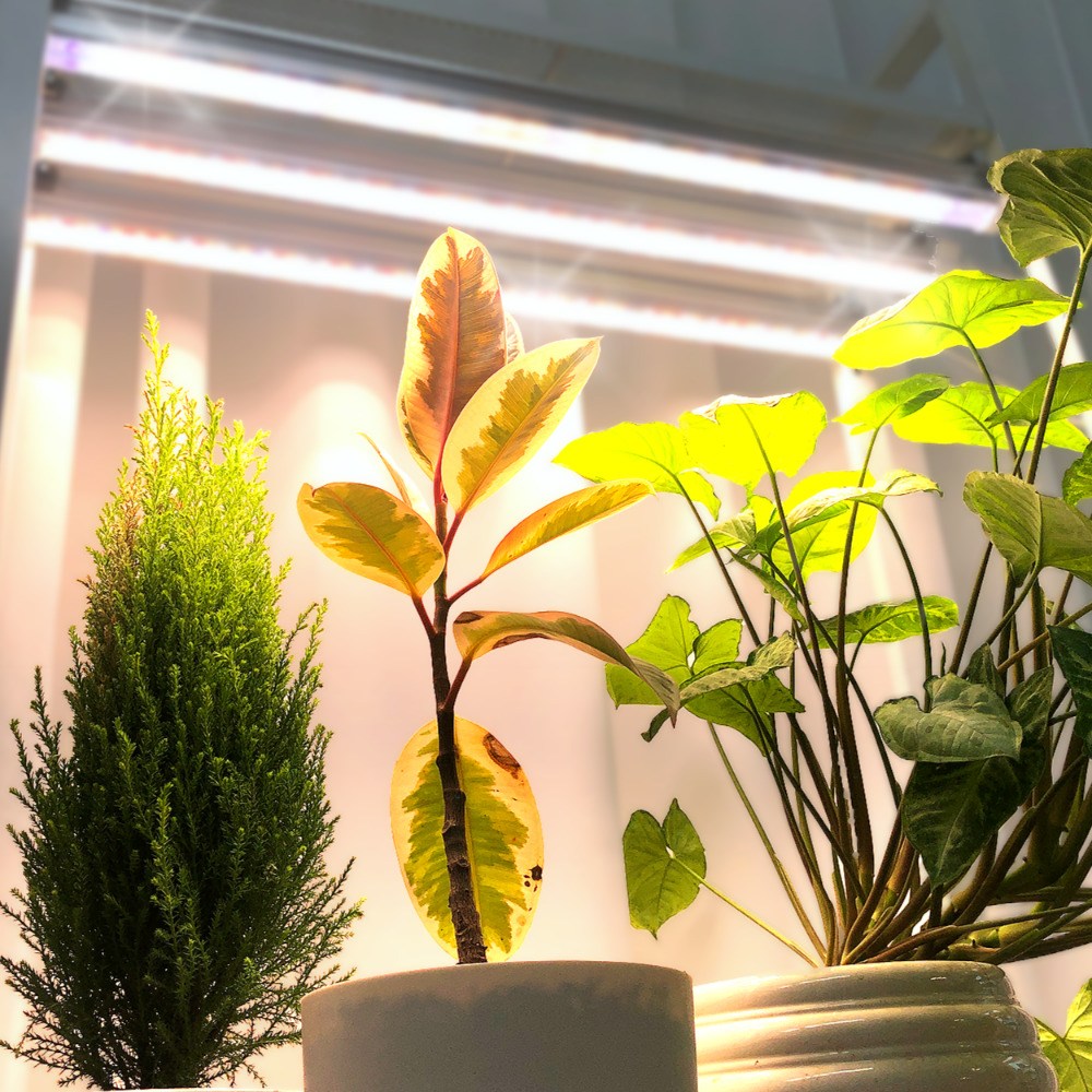 식물전파사 꿀빠 딥그린 식물등 식물조명 선반 밑 많은 화분 led식물등 세트 43,700원