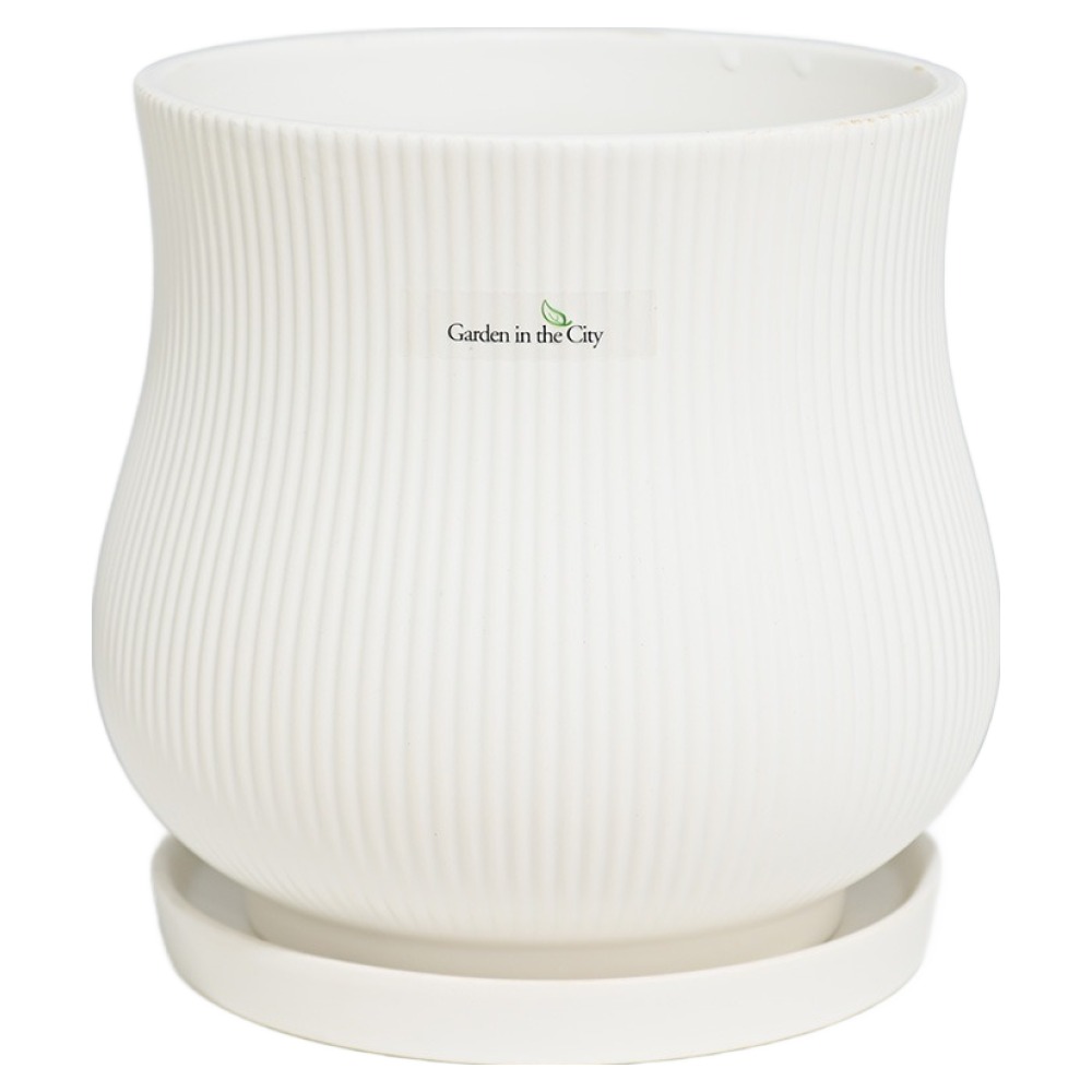 도시정원 모던 도자기 스트라이프 라인 화분 + 받침 세트 19,900원