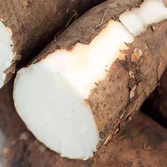 한정특가 산지직송 안동 산마 참마 14,800원