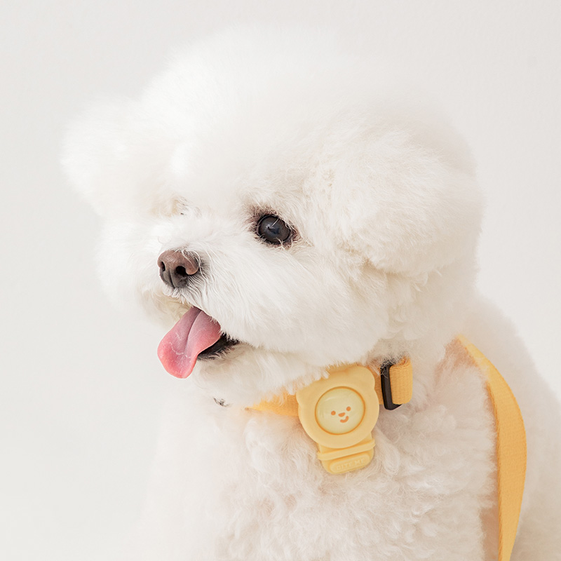 바잇미 강아지 헤잇미 밴드 8,120원