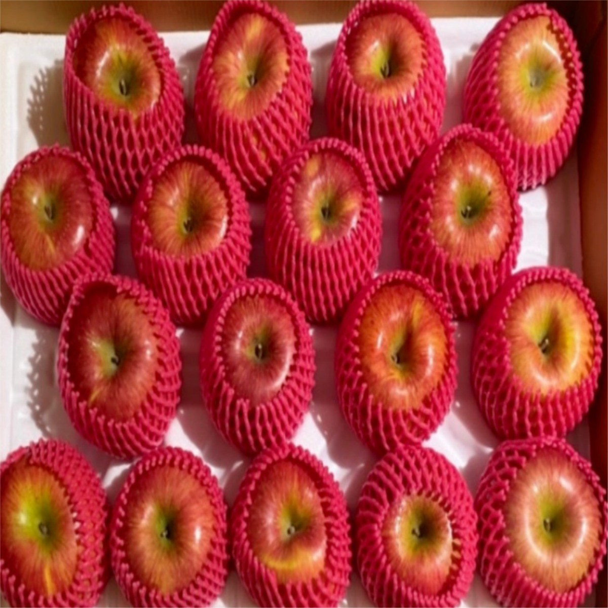 정품 경북 고당도 사과 특품 부사 사과 (정품), 1개, 5kg 대과 (선물 포장) 64,500원