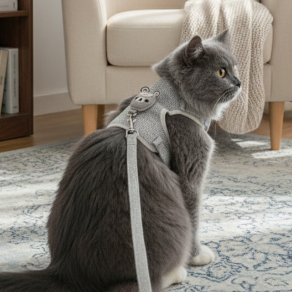 버디트로브 고양이 하네스 리드줄 세트 애견 산책 가슴줄, 1개, 그레이 4,800원