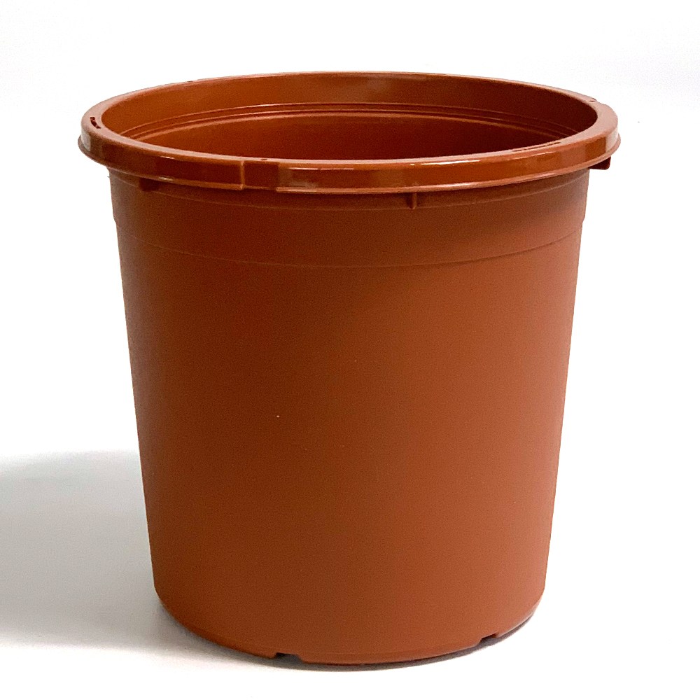 재배분DS210(브라운) 25개 플라스틱화분 분갈이흙 모종, 25개 45,000원