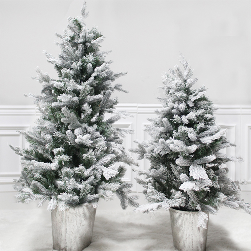 도시정원 피오르드 알파인 전나무 트리 47,160원