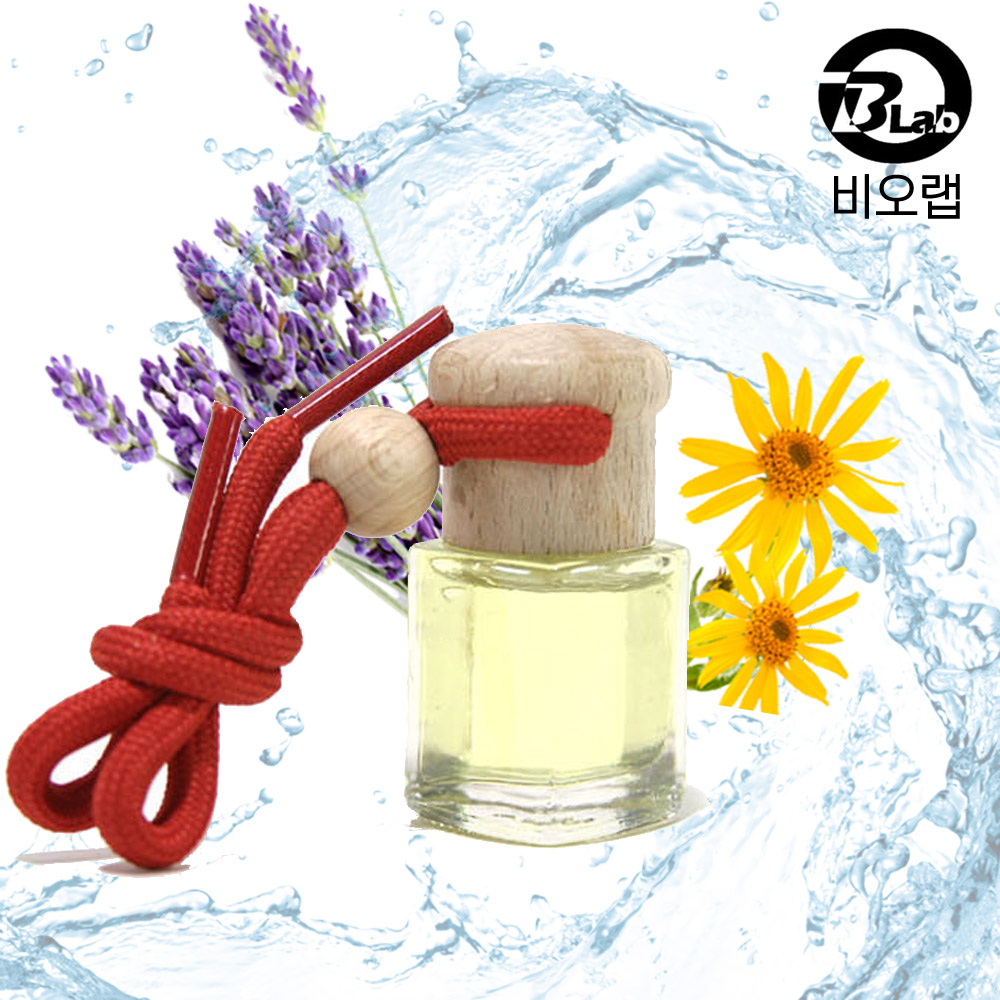 자동차 방향제 탈취제 차량용 아로마 향수 디퓨져 4,500원