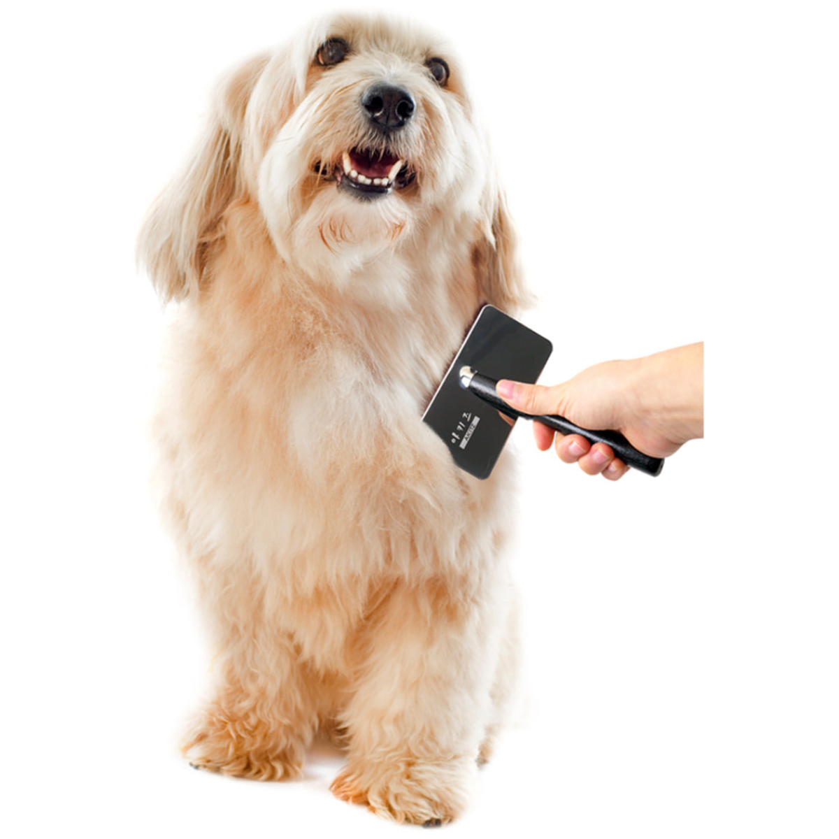 아키즈 프로슬리커 강아지 엉킨털제거빗 털갈이 애견브러쉬, 1개 50,000원