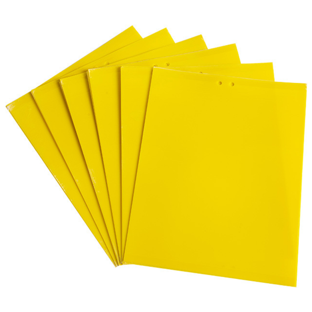 디와이툴즈 양면 초강력 끈끈이 트랩 해충 방제끈끈이 파리끈끈이, 20매 10,100원