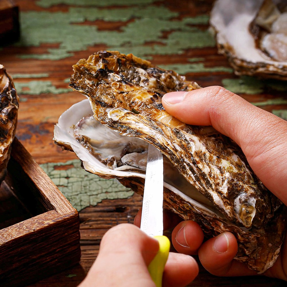 [모두밥상] 살이 옹골차게 오른 남해안 굴 생굴 산지직송 47,600원