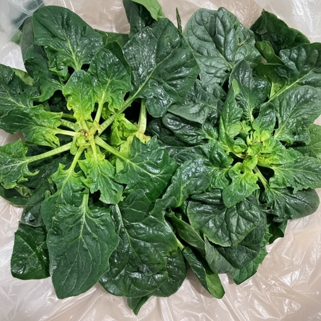 [제철수확] 비타민 풍부한 달큰함이 살아있는 남해 시금치, 1개, 2kg 35,560원