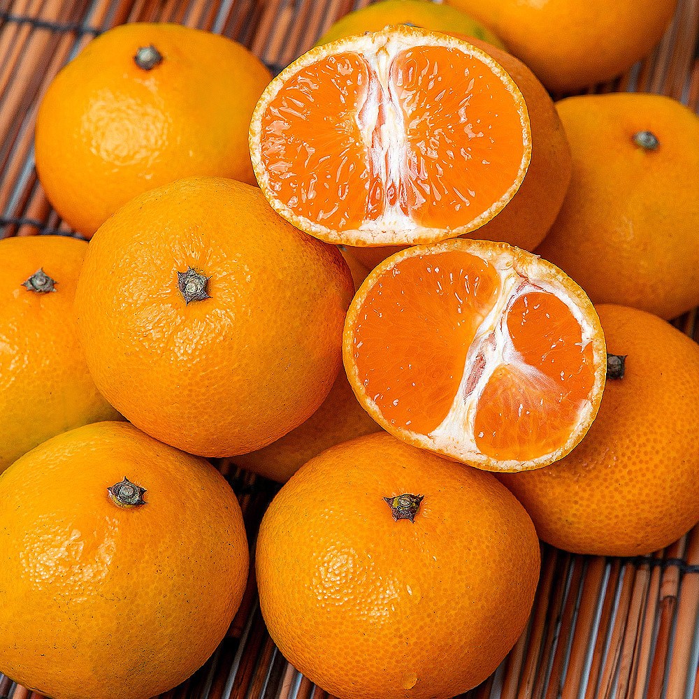 [백화점납품용] 고당도 타이벡감귤 비가림감귤 특품 65,800원