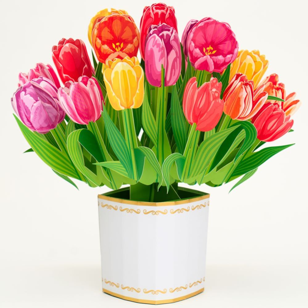 카드플리즈 꽃다발 카드 시리즈 7종- 팝업 입체 3D 어버이날카드 스승의날카드 감사카드 땡큐 생일카드 파티용품 7,800원