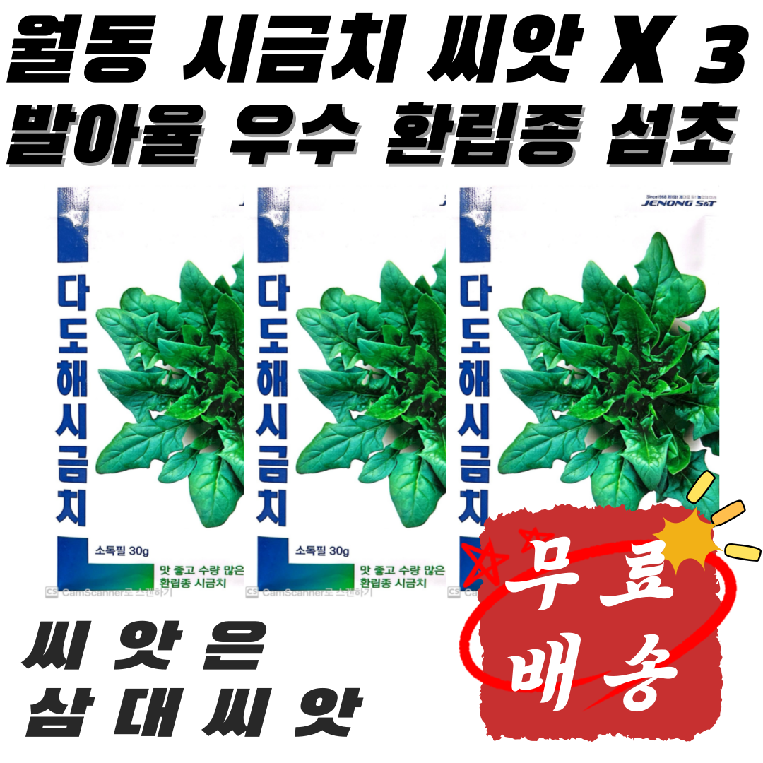 겨울시금치씨앗 섬초시금치씨앗 환립종 가시없는종자 3봉세트 무료배송 다도해시금치 납작한 시금치씨앗, 3개 10,000원